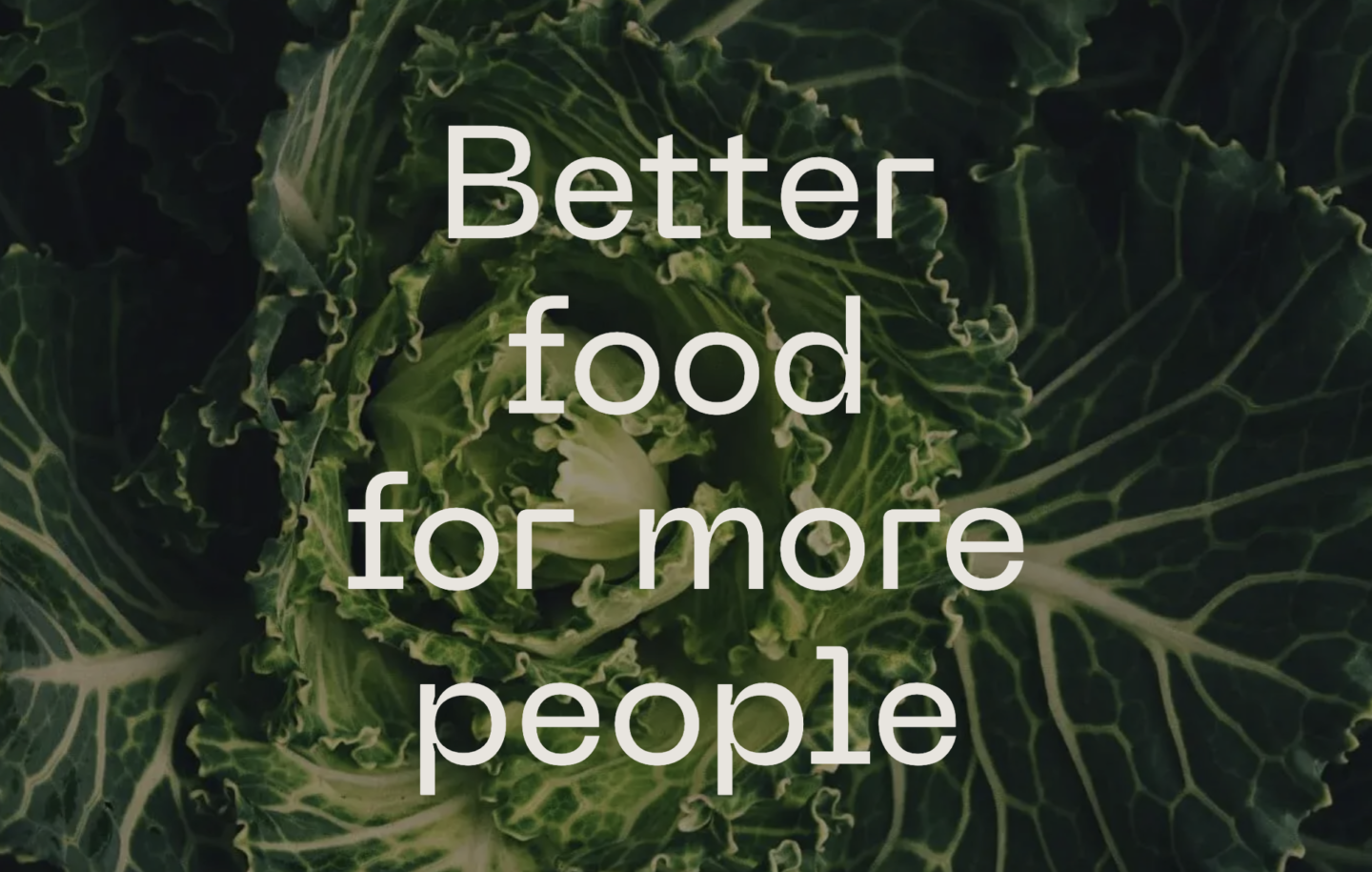 Kost Capital Launches €25 Million Food Tech Fund to Revolutionize B2B Food Systems in Europe